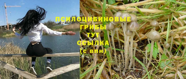 ПСИЛОЦИБИНОВЫЕ ГРИБЫ Алексин