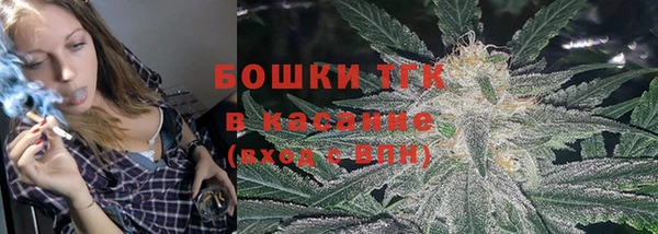 ПСИЛОЦИБИНОВЫЕ ГРИБЫ Алексин