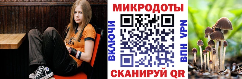 hydra   Тобольск  Псилоцибиновые грибы мицелий 